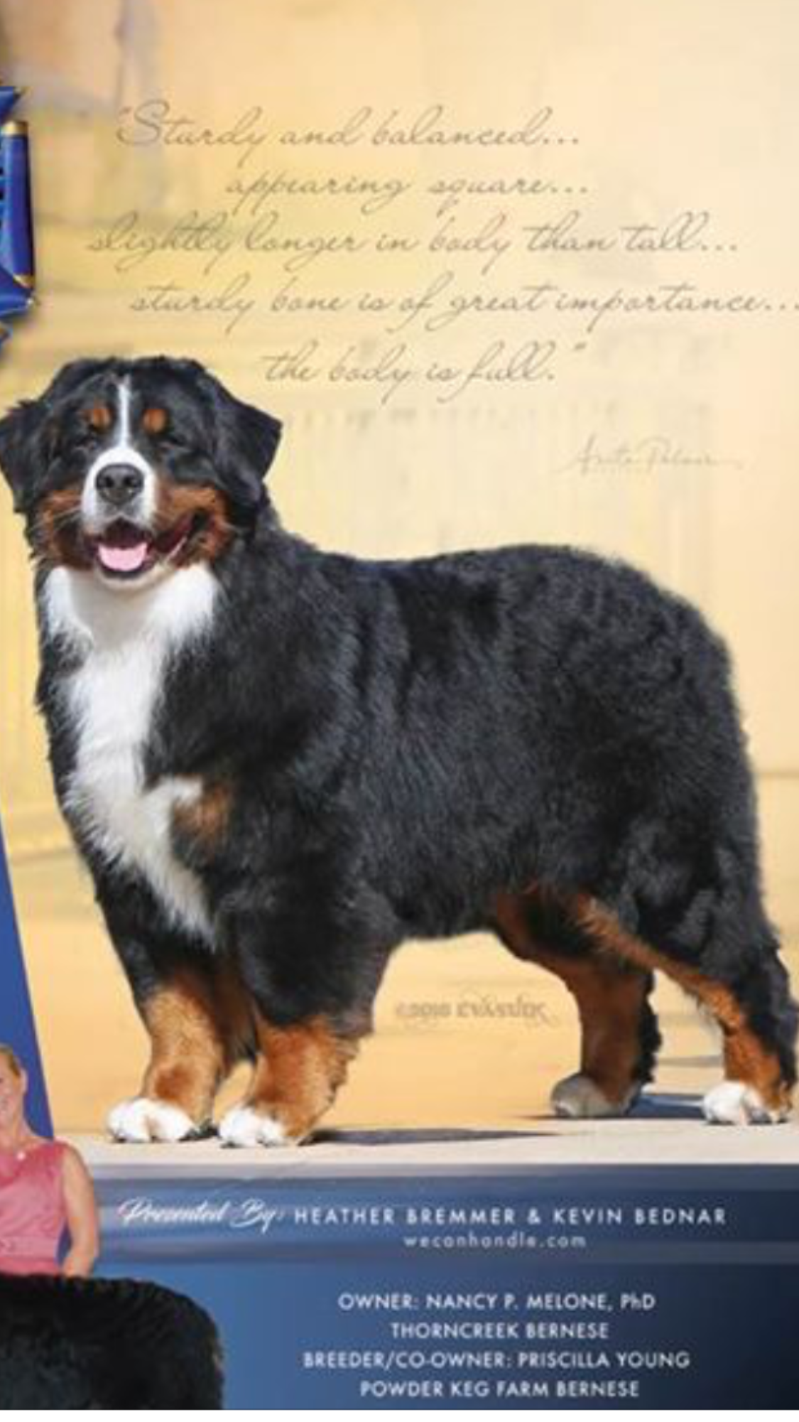 boris bernese